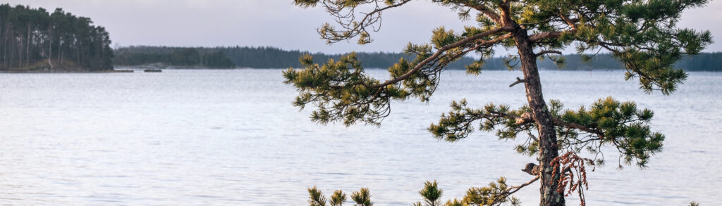 Lantmäteriförrättning