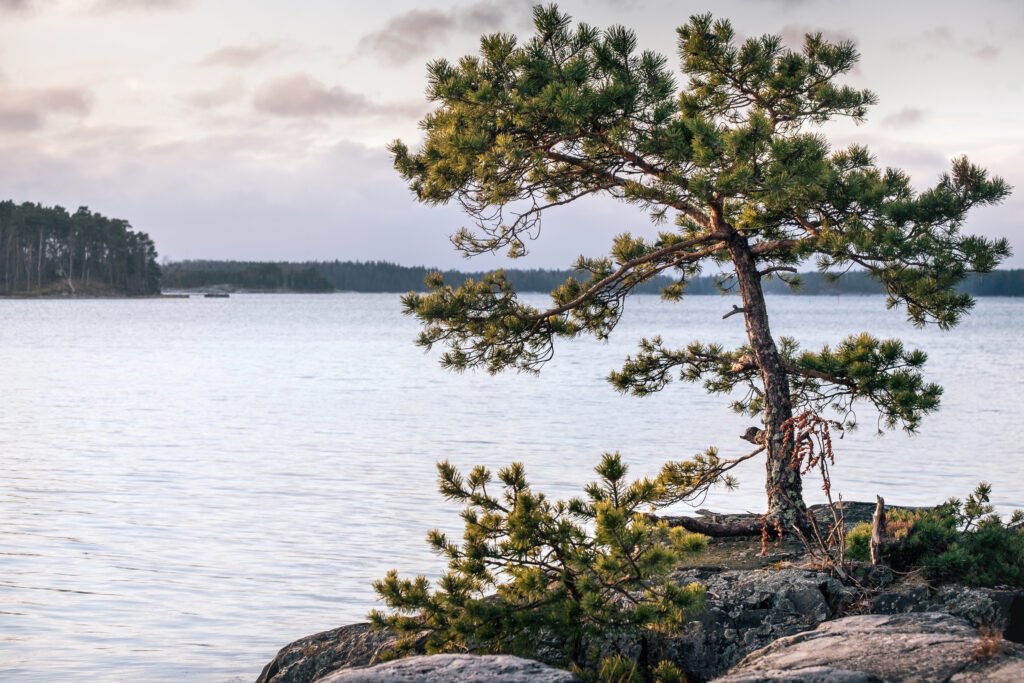 Lantmäteriförrättning