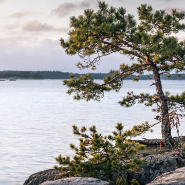 Lantmäteriförrättning