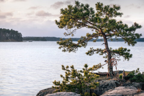 Lantmäteriförrättning